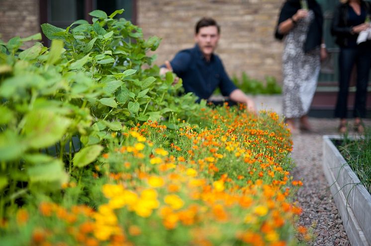 Urban Garden på Clarion Hotel Post i Göteborg