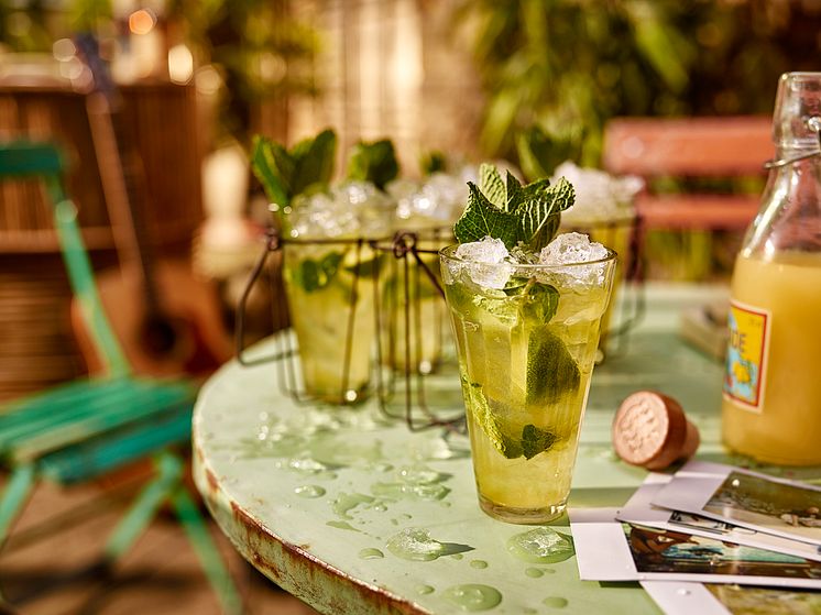 Monkey Mojito