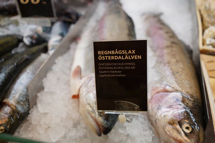 Grön regnbågslax Hemköp Foto RoxenCommunication