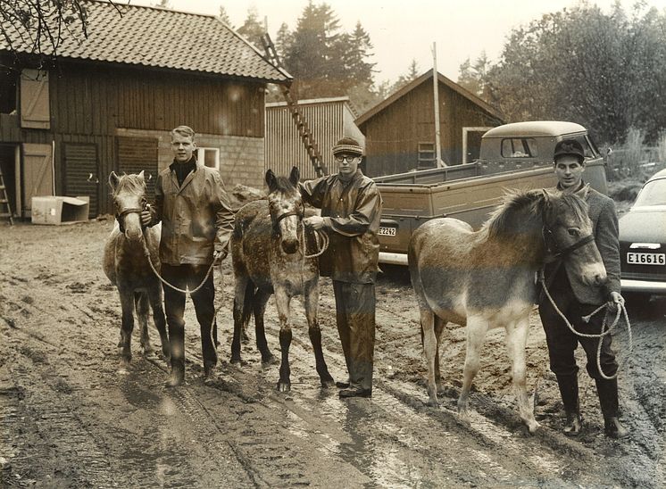 Första djuren 1964.jpg
