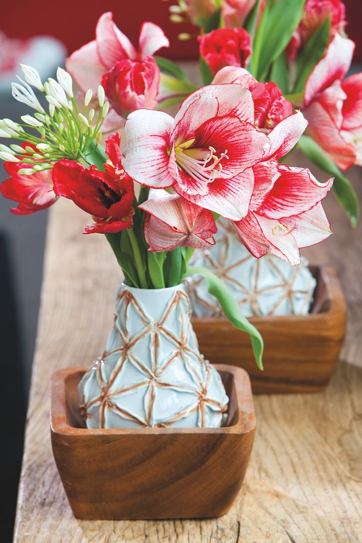  Bukett med Amaryllis, Tulipa 'Top Parrot' och Agapanthus 'Polar Ice'.