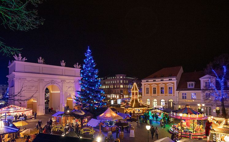 Blauer Lichterglanz (c) PMSG André Stiebitz