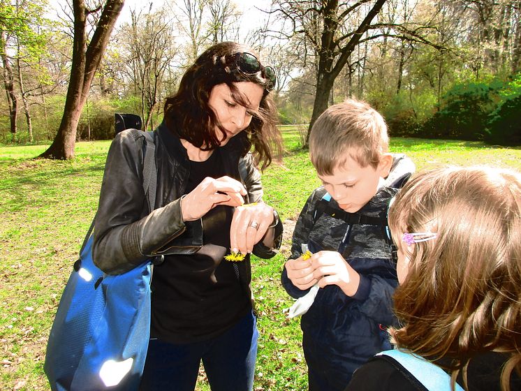 Kräuterwanderung im Englischen Garten