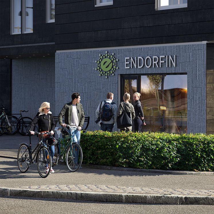 Endorfin