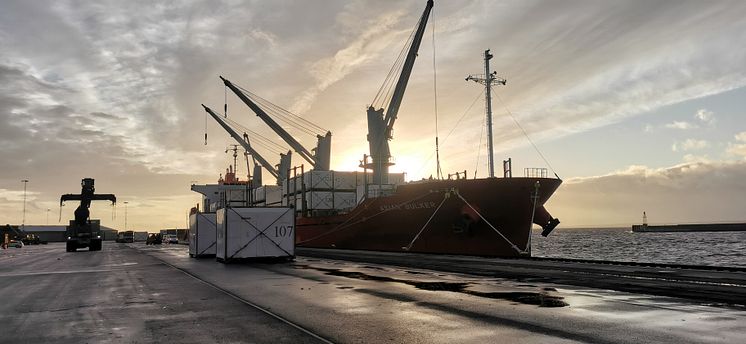 Asian Bulker i Helsingborgs Hamn