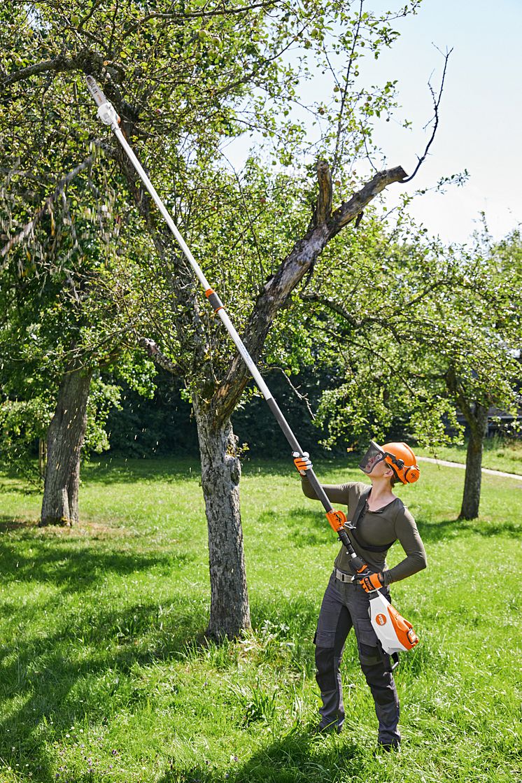 STIHL HTA 135 gjør det enkelt å beskjære høye trær. 