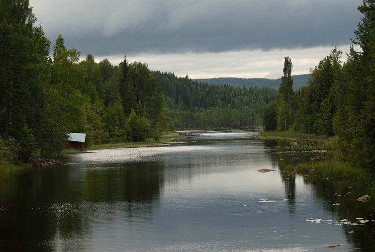 Marnäsån Långsjön