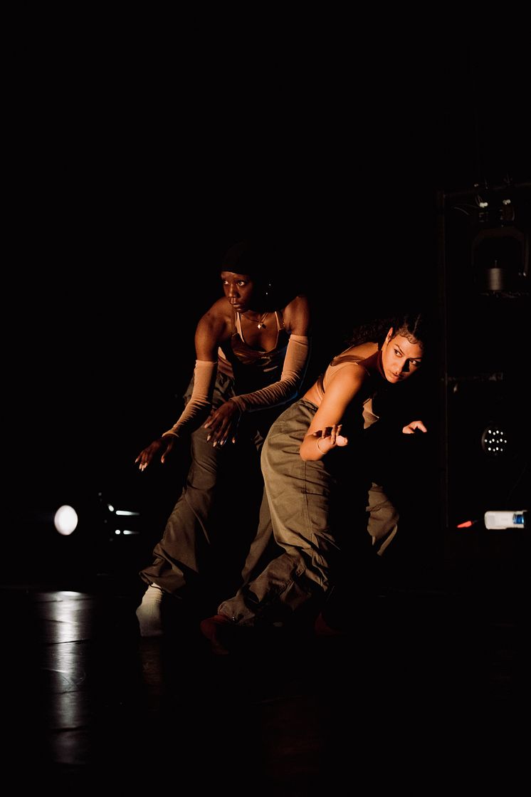 Company Nicolas Huchard - The barefoot diva