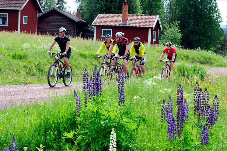 Nyheter inför CykelVasan – miljonbelopp har investerats i VasaloppsArenan