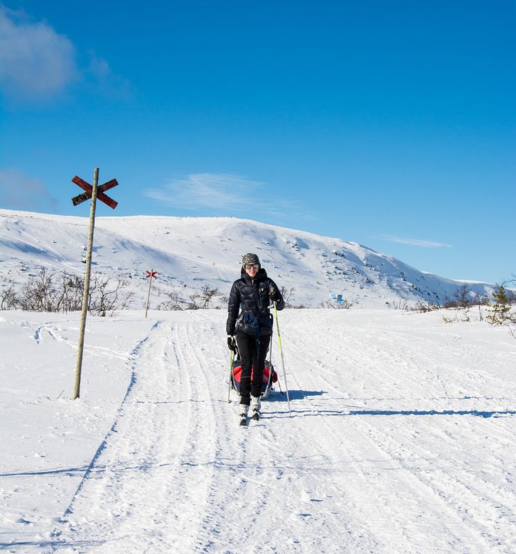 Längdtur en vårvinterdag