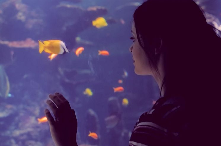 RS13580_Girl_Aquarium_SOME.jpg