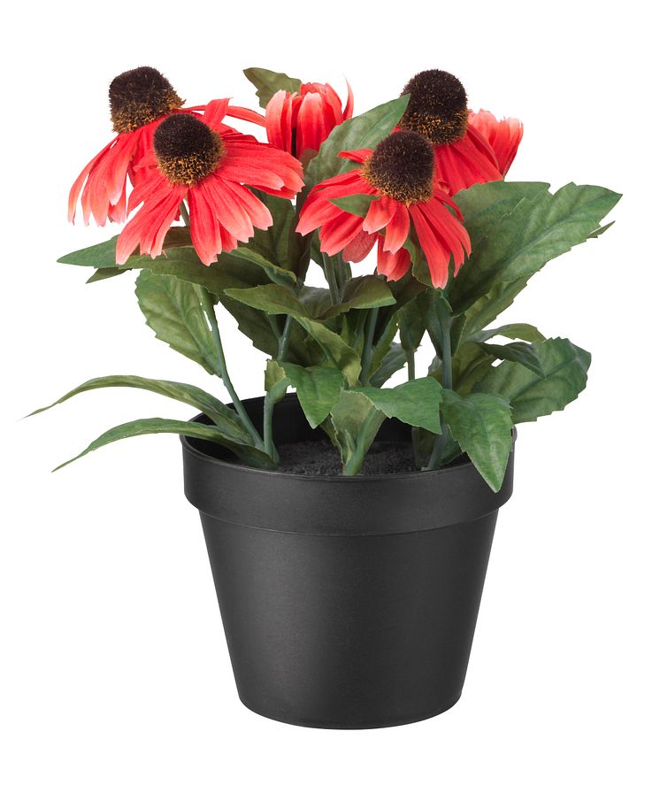 FEJKA kunstig potteplante, solhat, indendørs/udendørs 39.-