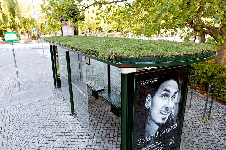 Sedumtak på väderskydd Malmö