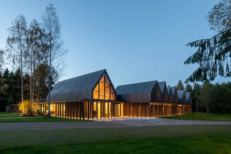 Bestehende Lichtungen, alter Baumbestand und die natürliche Topografie bestimmen die Architektur des SANCTUM Nature Therapy 
