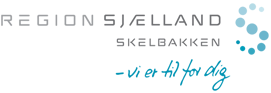 skelbakken-logo_0