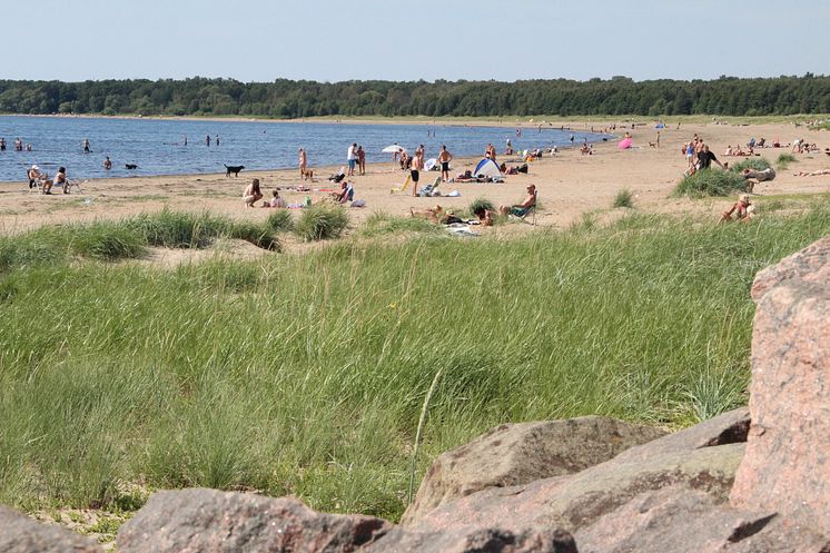 Västra Stranden Halmstad