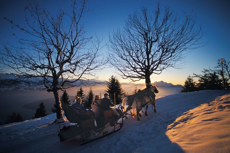 Pferdekutschenfahrt auf der Rigi  