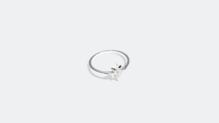 Ring - 179 kr