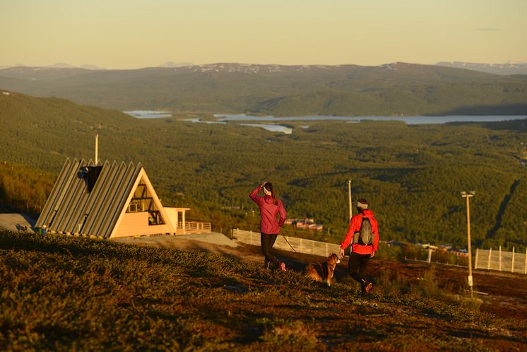 Björk - Topprestaurang & Fjällbar