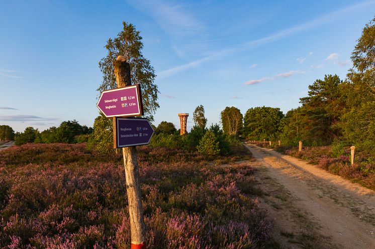 sielmanns_naturlandschaft_kyritz-ruppiner-heide_TMB-Fotoarchiv_Steffen_Lehmann (2)