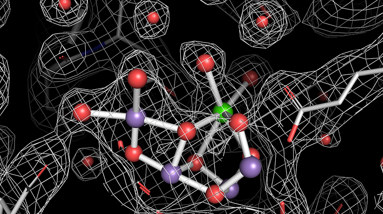 Photosynthetic protein complex splitting water