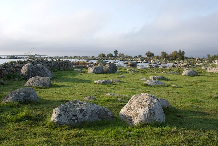 Edenryds Kustled vid Östersjön