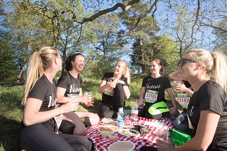 Vårrusets picknick