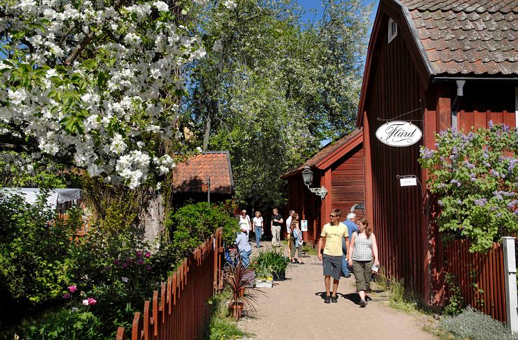 Friluftsmuseet i Gamla Linköping