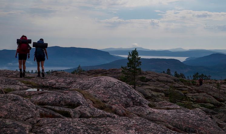 Ta Världsarvbussen till Skuleskogens nationalpark i sommar.jpg