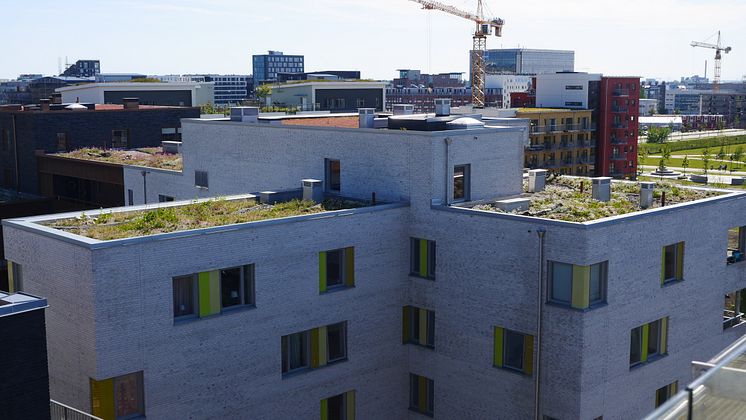 Strandängstak, kvarteret Koggen, Västra hamnen Malmö (översikt)