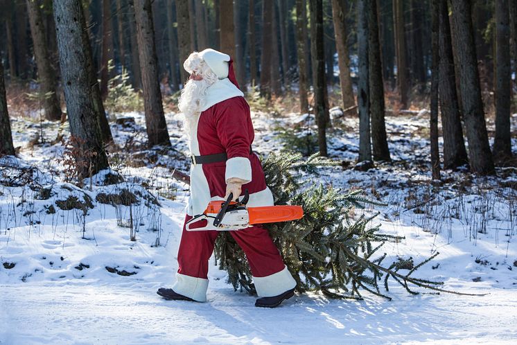 Fæld dit eget juletræ