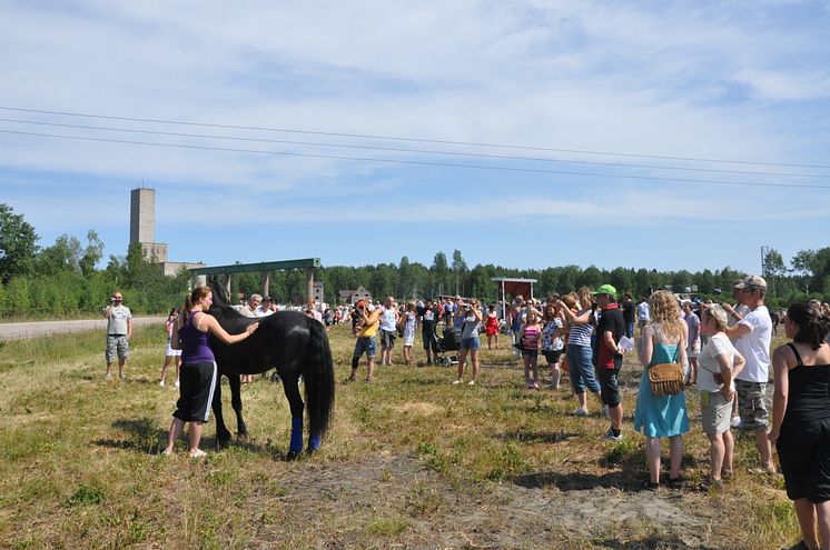 Järvsöfaks fotograferas