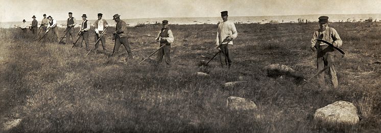 Slåtter 1907-1908, Gotland. Foto: Mathias Klintberg,Nordiska-museet.