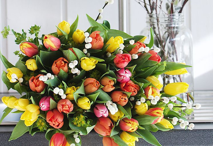 Fargerike tulipaner