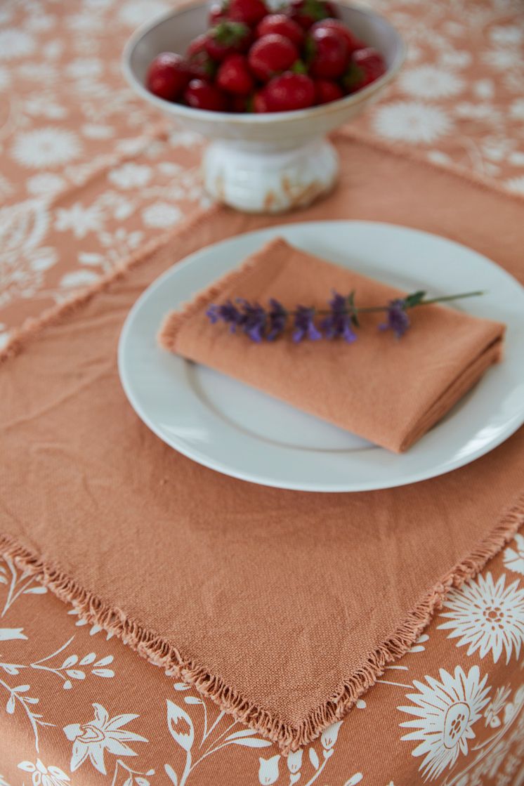 89480-23_1 Place mat Anders 7318161534320.jpg