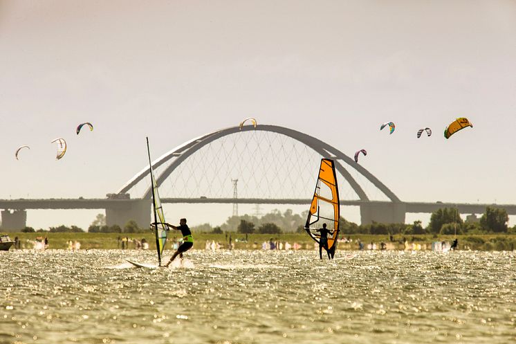 Wind- und Kitesurfer vor der Fehmarnsundbrücke