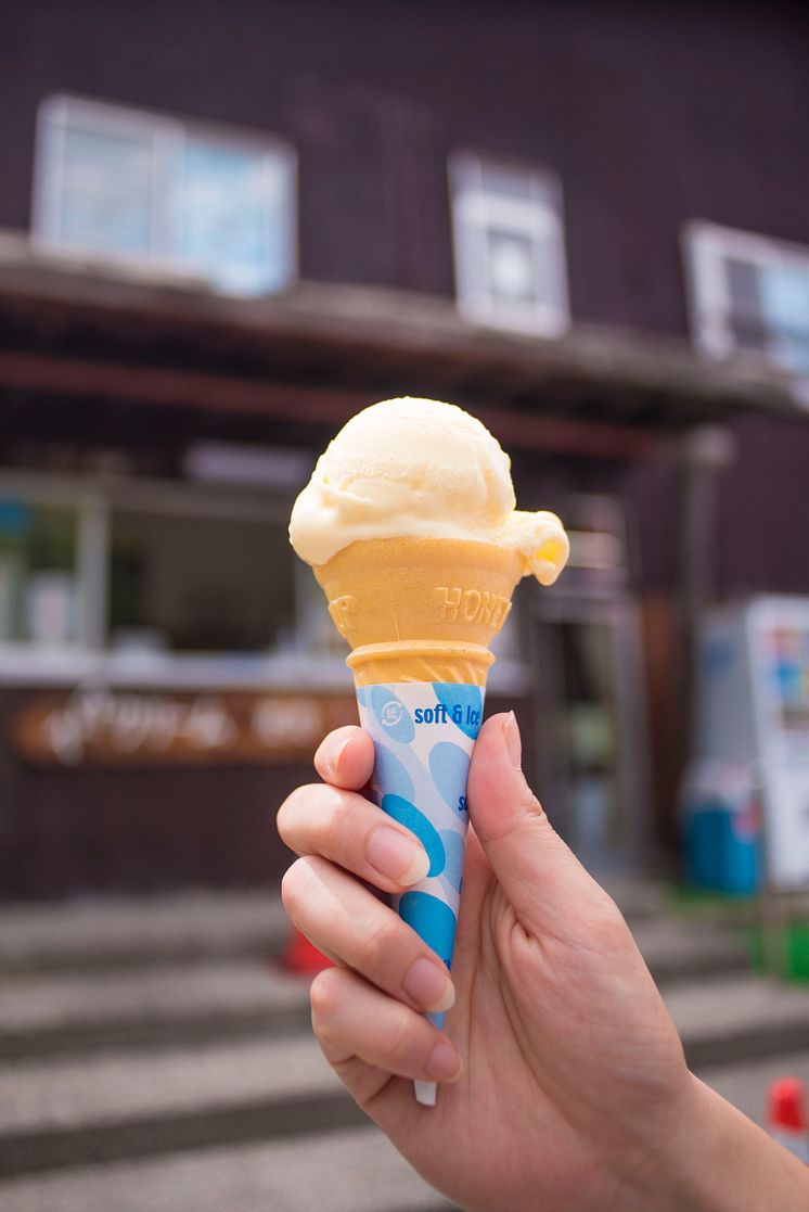 Ice Cream at Kotoku Farm