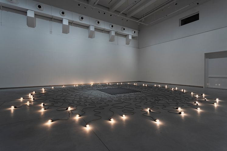 Mona Hatoum-0150