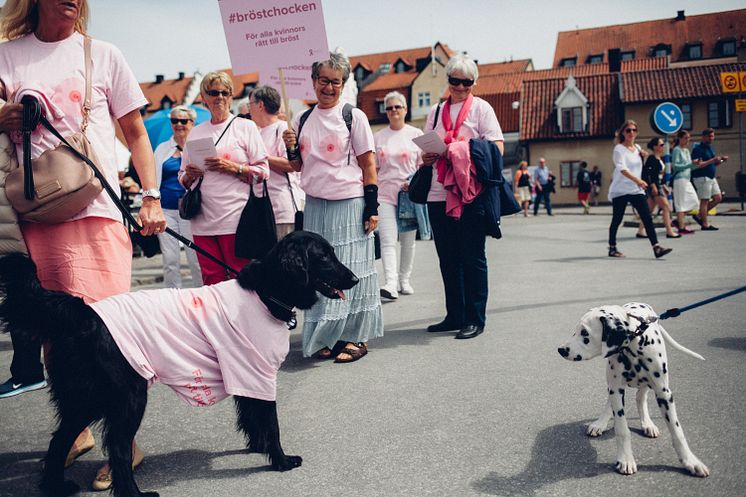 Hundarna tog ställning i Rätt till bröst