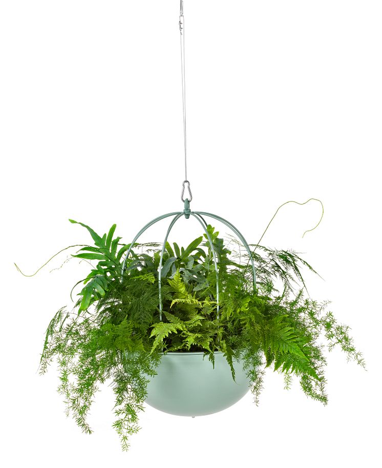 Cacti ampel / hanging basket , design Anki Gneib