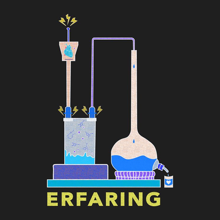 Erfaring coverart