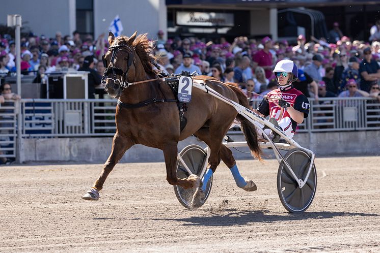 EVARTTI heat 3.jpg