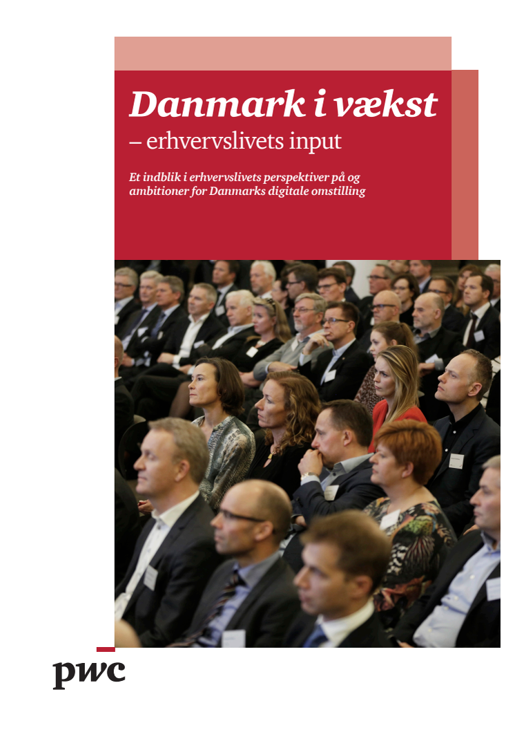 Danmark i vækst - erhvervslivets input
