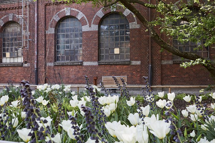 Frans_Kockums_tradgard_maj21_2_foto_VarvsstadenAB.jpg