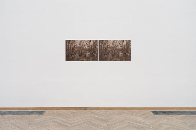 Simon Persson, Not titled (landscape), [2023] 2011