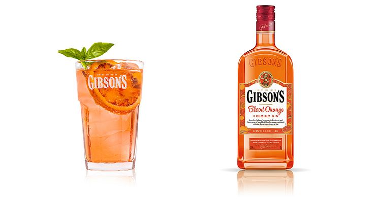 moestue-gibson-blood-orange-tom-collins-bred