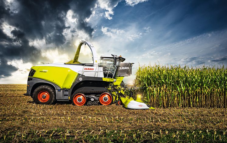 CLAAS JAGUAR 990 TERRA TRAC