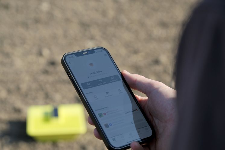 MagicScout används för att kontrollera gulskålen