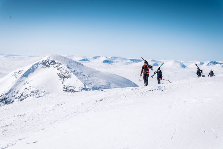 Predikstolen (Bakgrunden) foto Johan Mårtensson.jpg