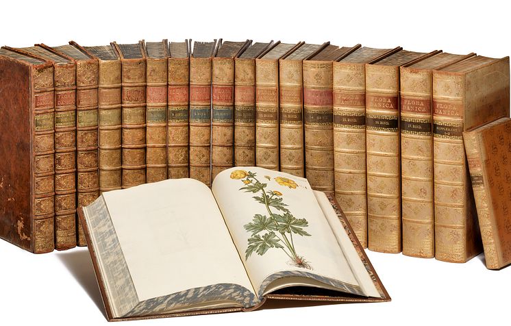 G.C. Oeder: Flora Danica. København 1761–1883. Komplet med 3240 originale håndkolorerede plancher. Vurdering: 300.000-400.000 kr. 